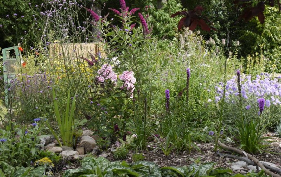 flower bed in community garden