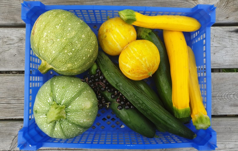 veg in box 