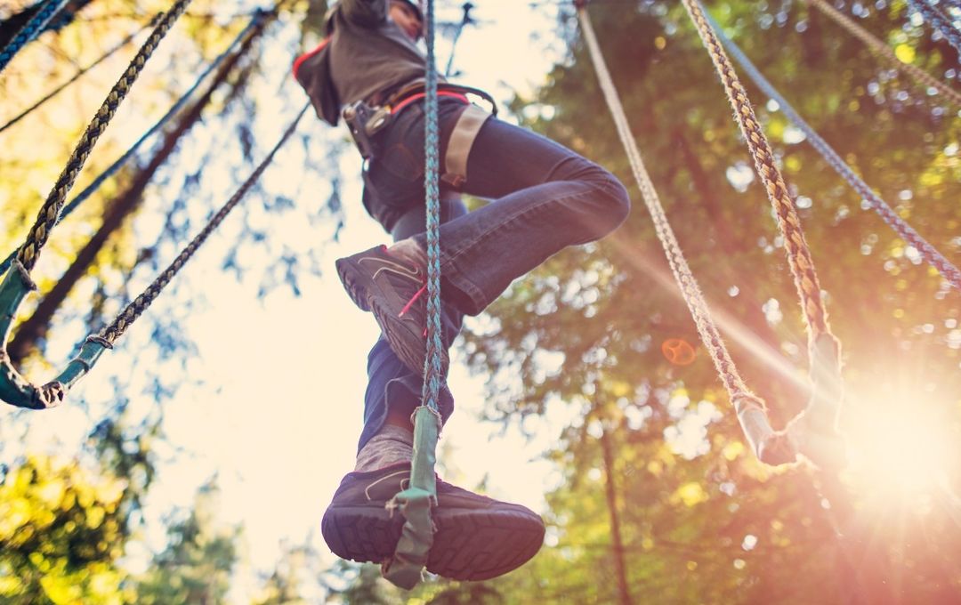 Treetop course