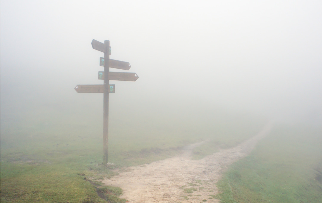 Signpost fog