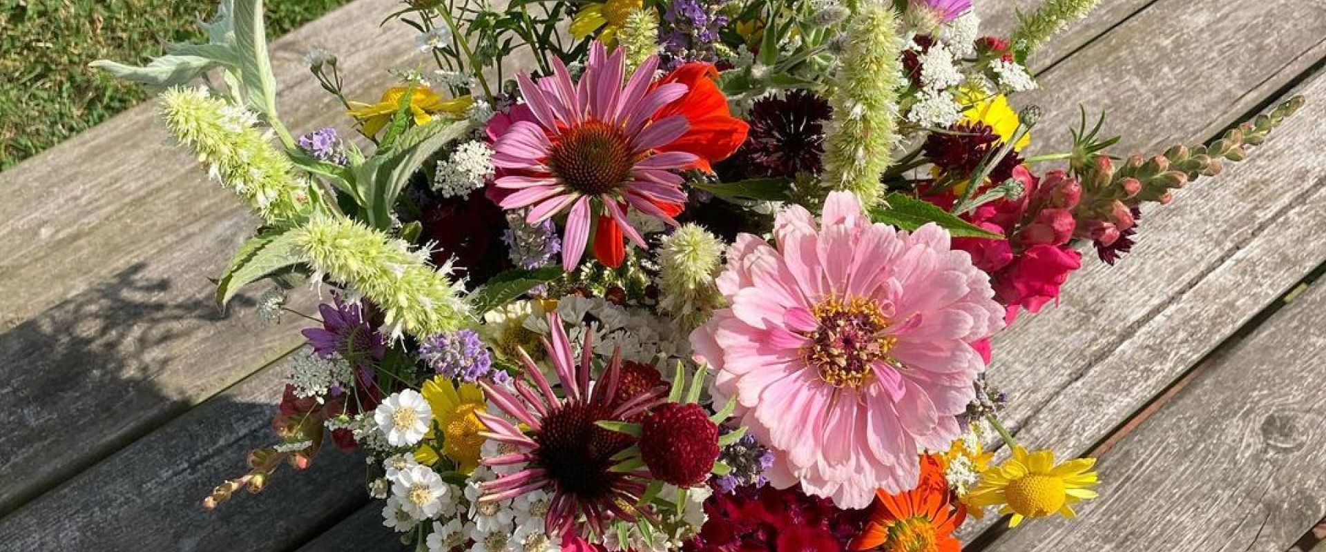 Andie Flowers