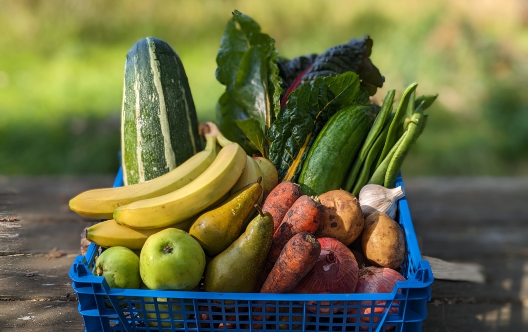 Shop vegan fresh fruit and veg online at Real Foods
