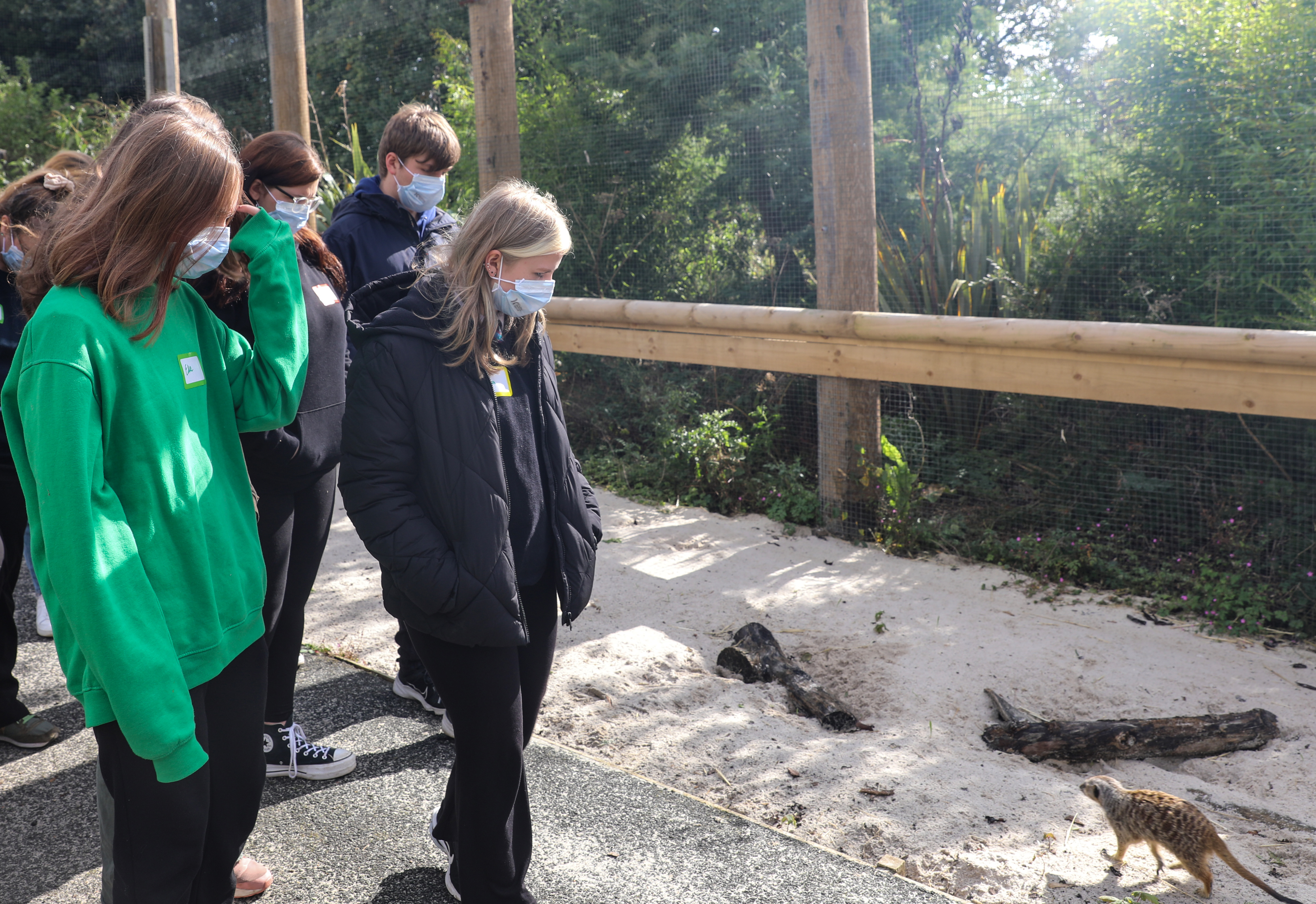 A group of young people in the Key to Work programme are shown around the meerkat enclosure at Edinburgh Zoo 
