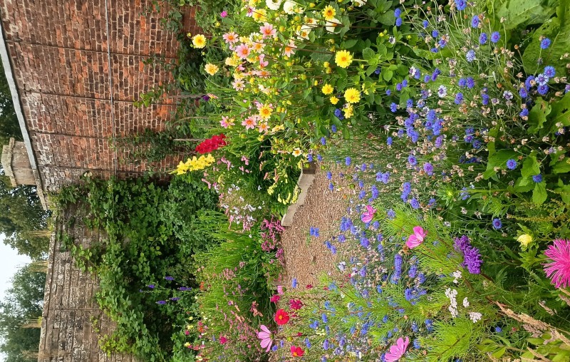 linburn walled garden 3 